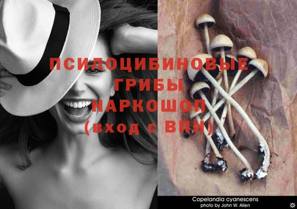 a pvp Каменск-Шахтинский