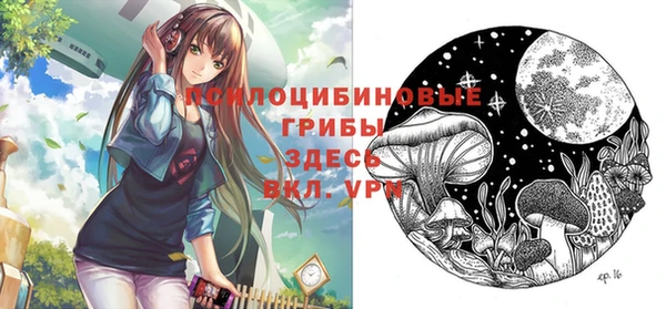 a pvp Каменск-Шахтинский