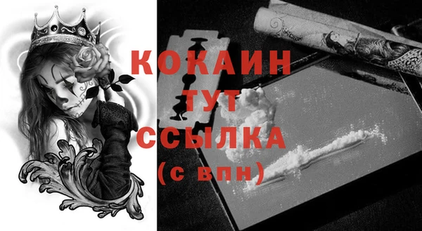 мяу мяу мука Каменногорск