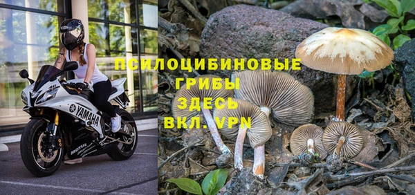 мяу мяу мука Каменногорск