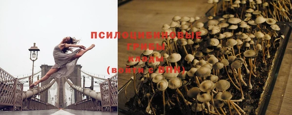 синтетический гашиш Каменка