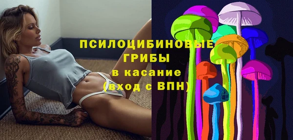 мяу мяу мука Каменногорск