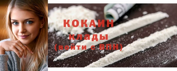 mdpv Новосибирск